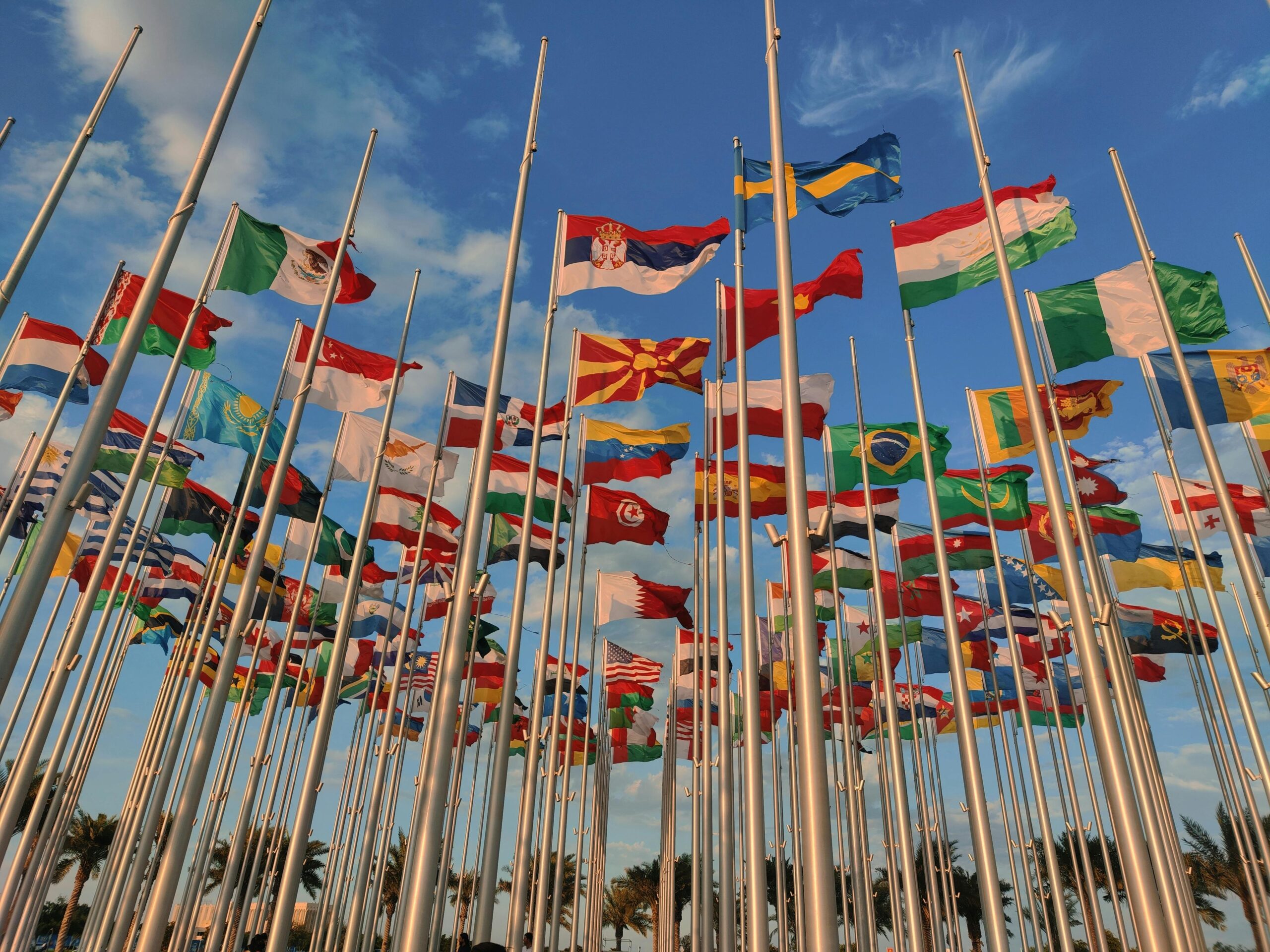 A diverse collection of national flags waving under a vibrant blue sky.